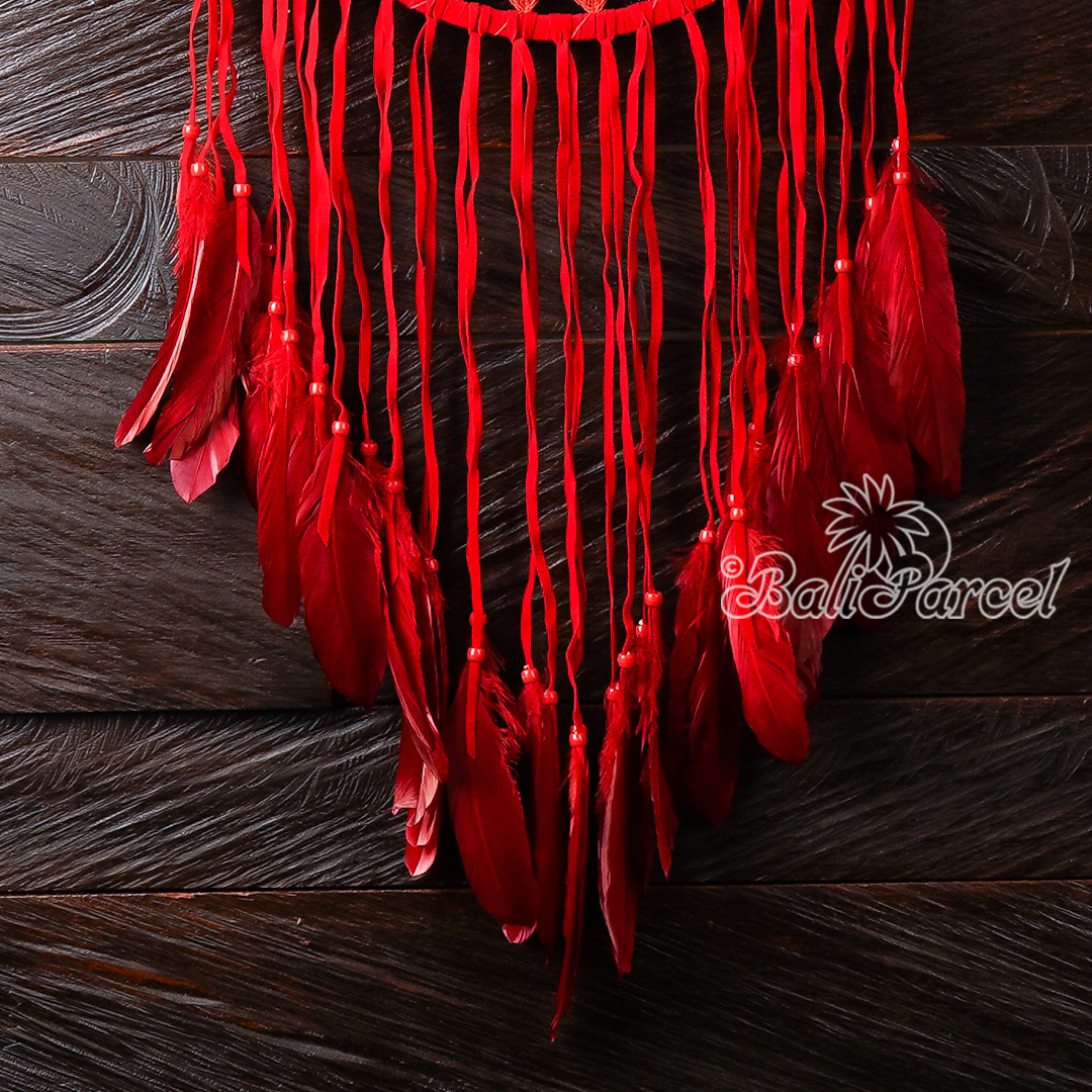 Macrame Dreamcatcher Wallhanging