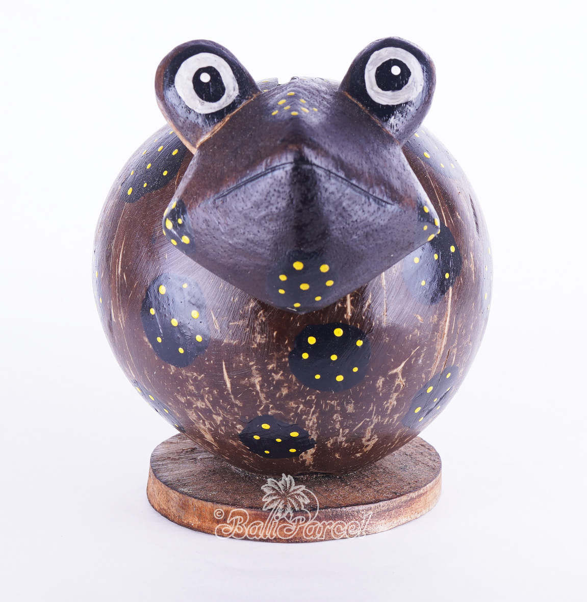 Coins Box, From Coconut Shell