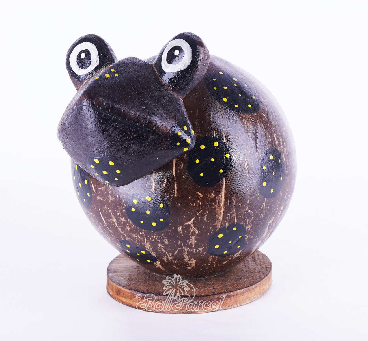 Coins Box, From Coconut Shell