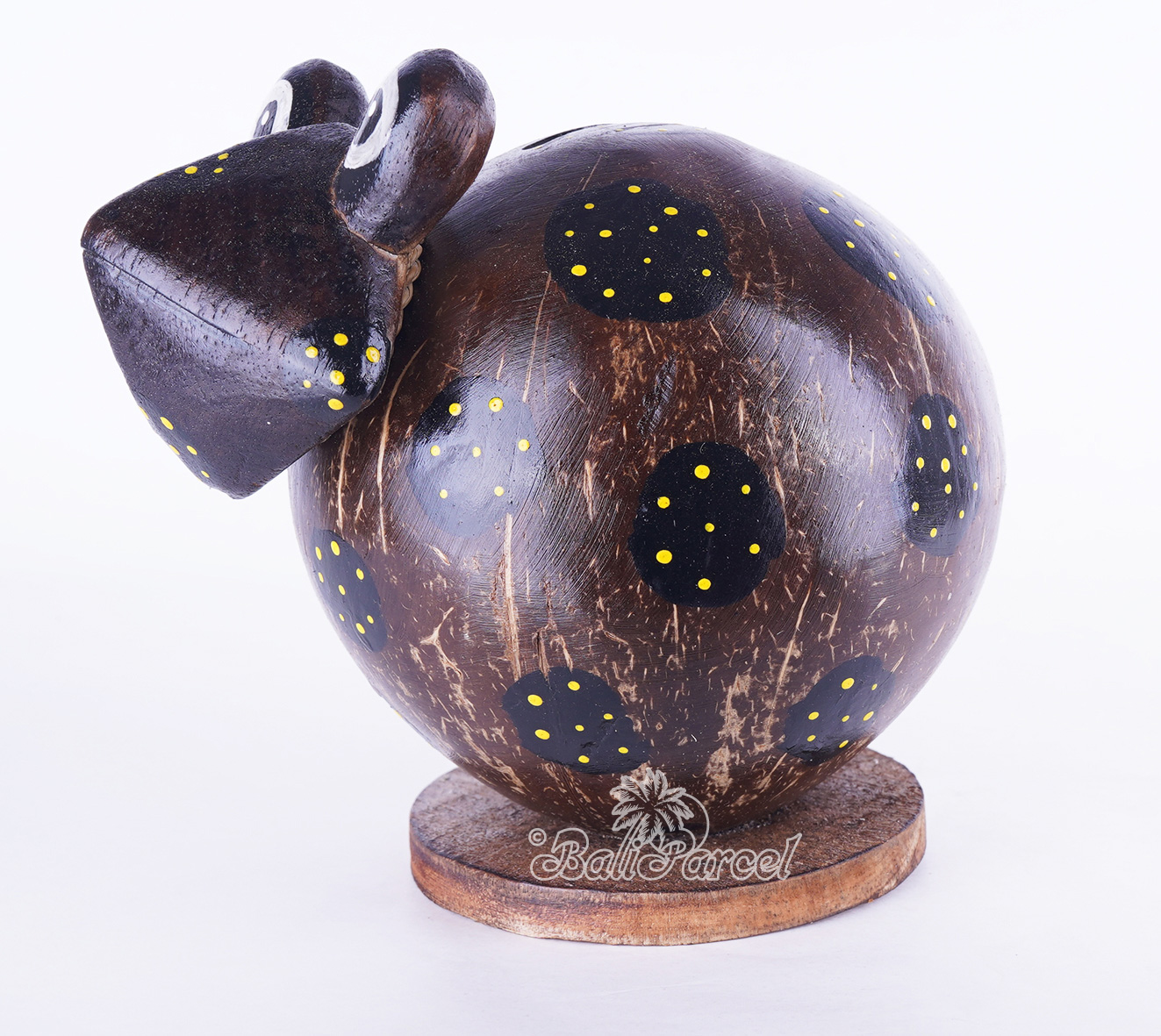 Coins Box, From Coconut Shell