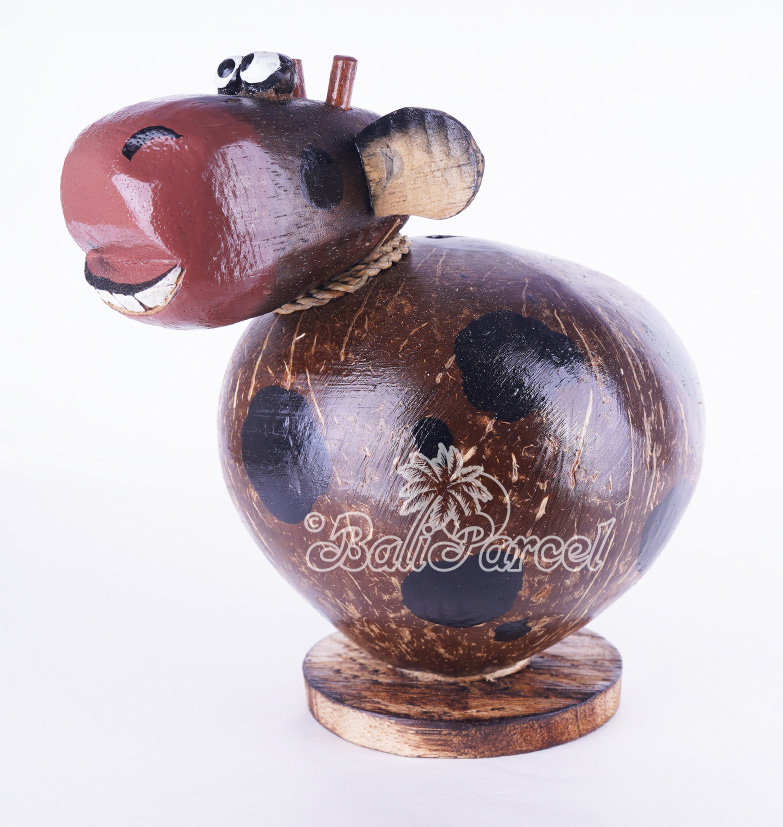 Coins Box, From Coconut Shell