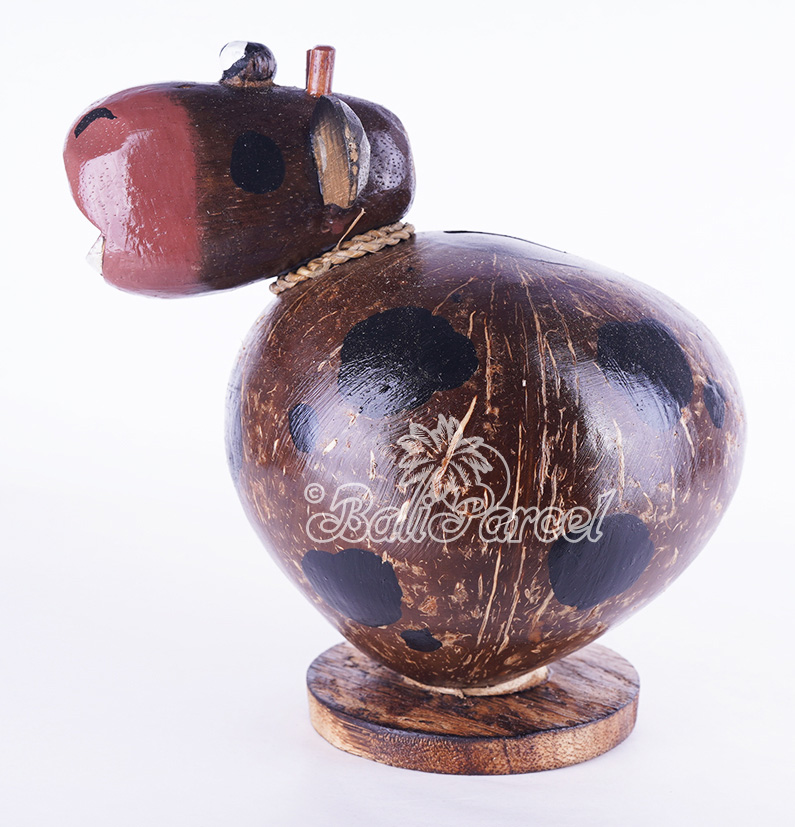 Coins Box, From Coconut Shell
