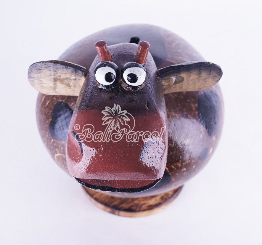 Coins Box, From Coconut Shell