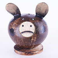 Coins Box, From Coconut Shell