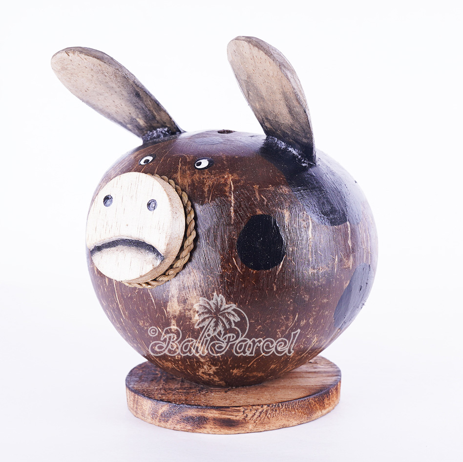 Coins Box, From Coconut Shell