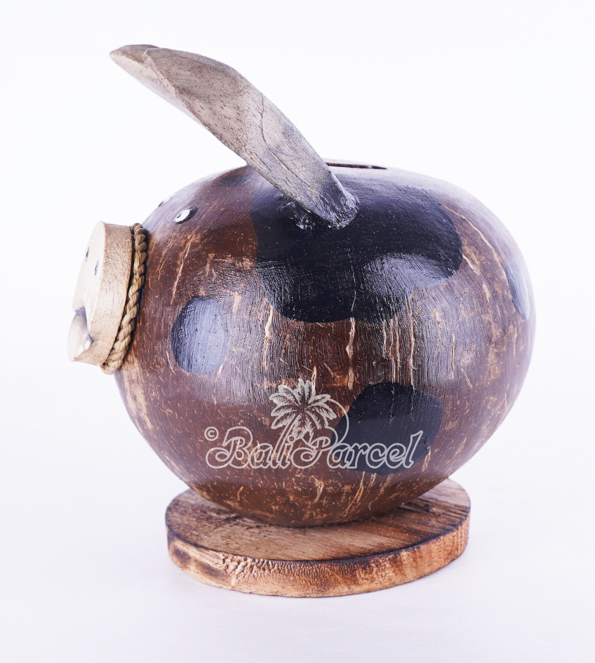Coins Box, From Coconut Shell