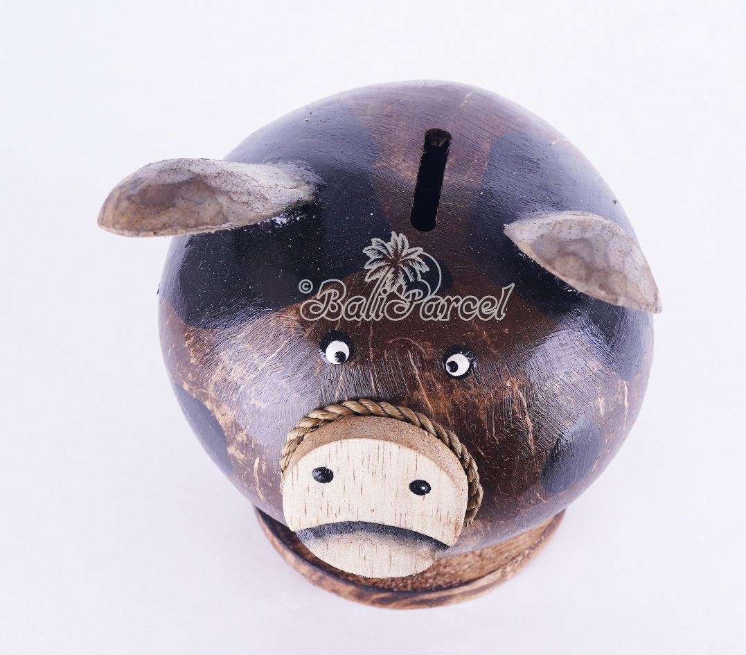 Coins Box, From Coconut Shell