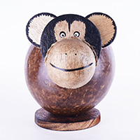 Coins Box, From Coconut Shell