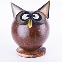 Coins Box, From Coconut Shell