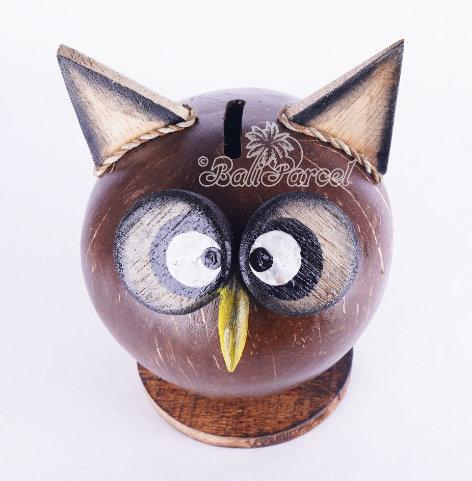Coins Box, From Coconut Shell
