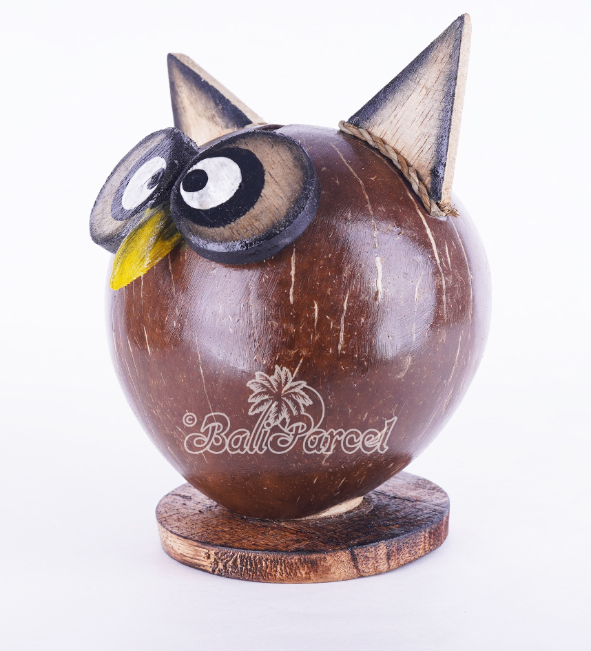 Coins Box, From Coconut Shell