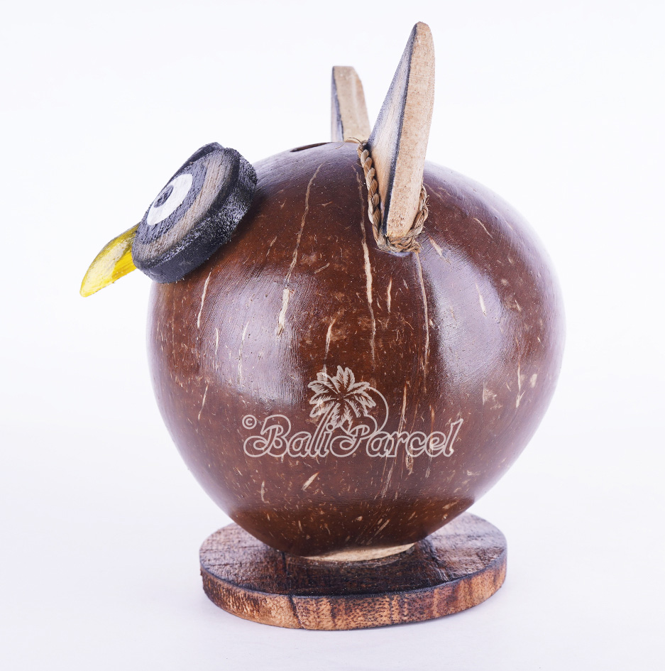 Coins Box, From Coconut Shell