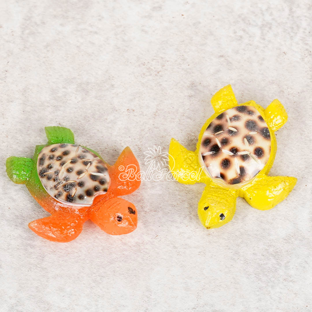 Assorted Turtle With Magnet, Handmade From Shell
