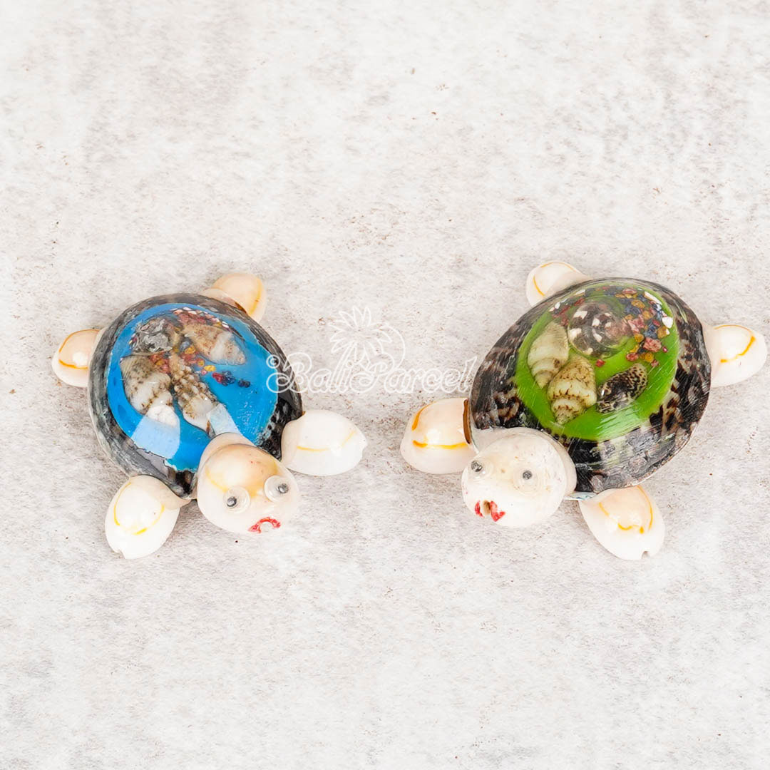 Assorted Turtle With Magnet, Handmade From Shell