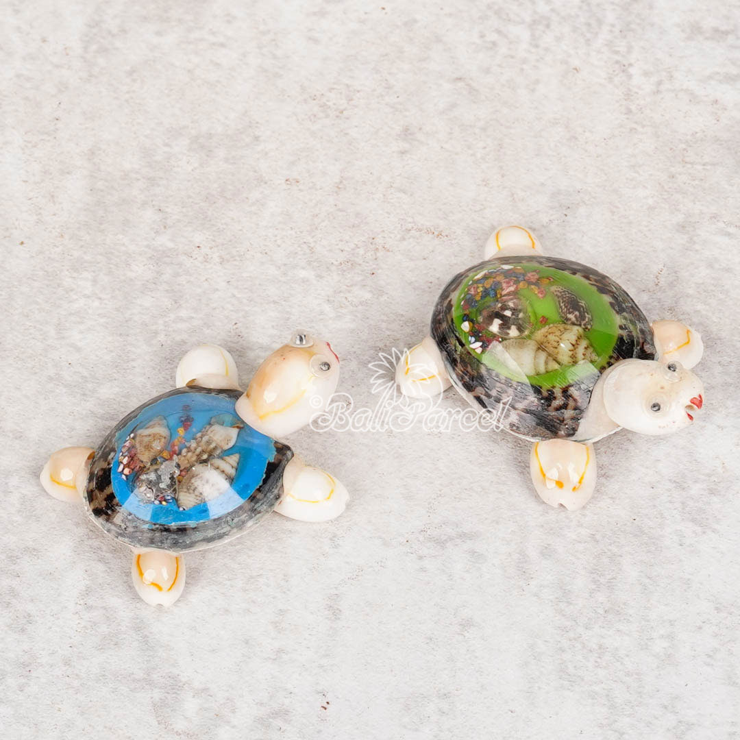Assorted Turtle With Magnet, Handmade From Shell