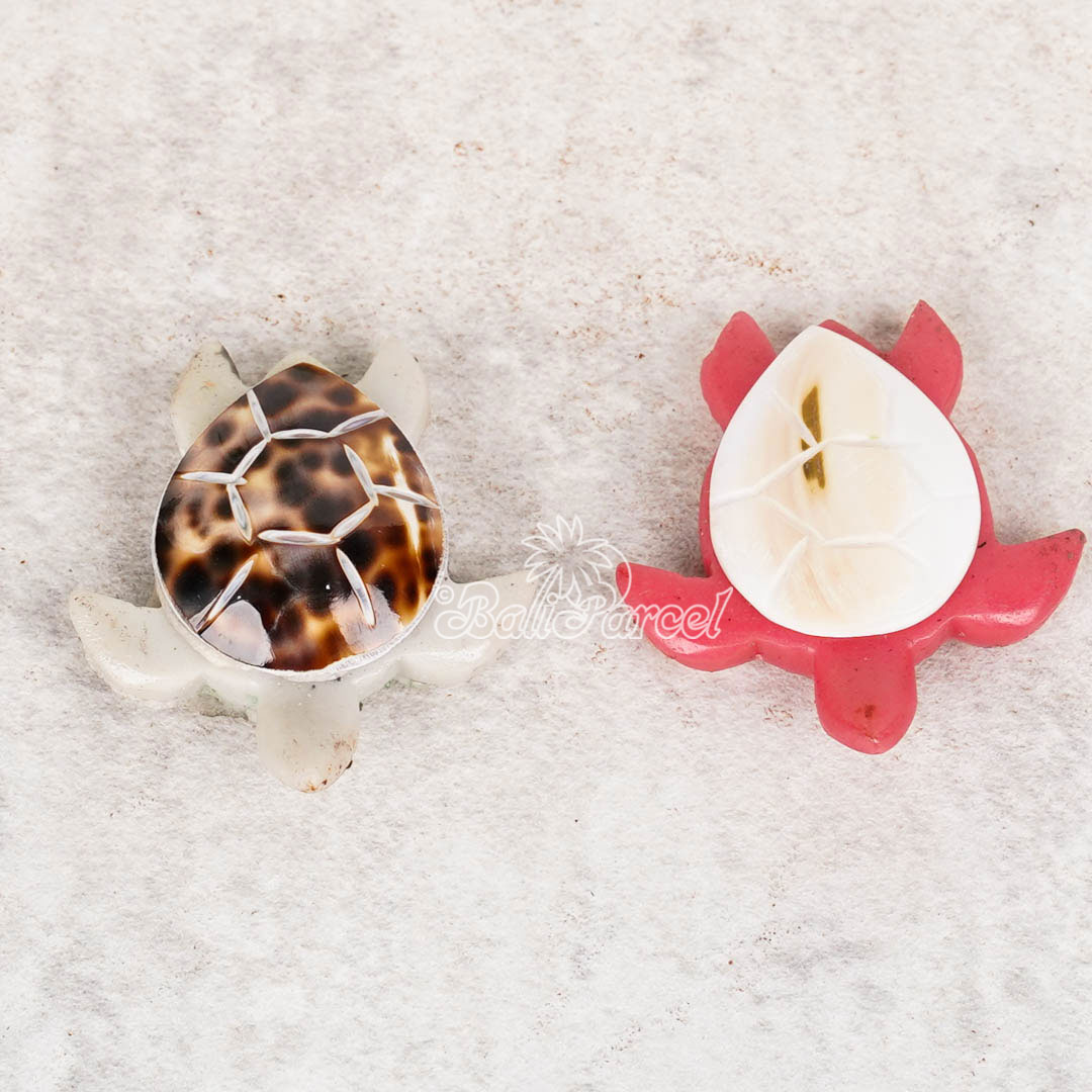 Assorted Turtle With Magnet, Handmade From Shell