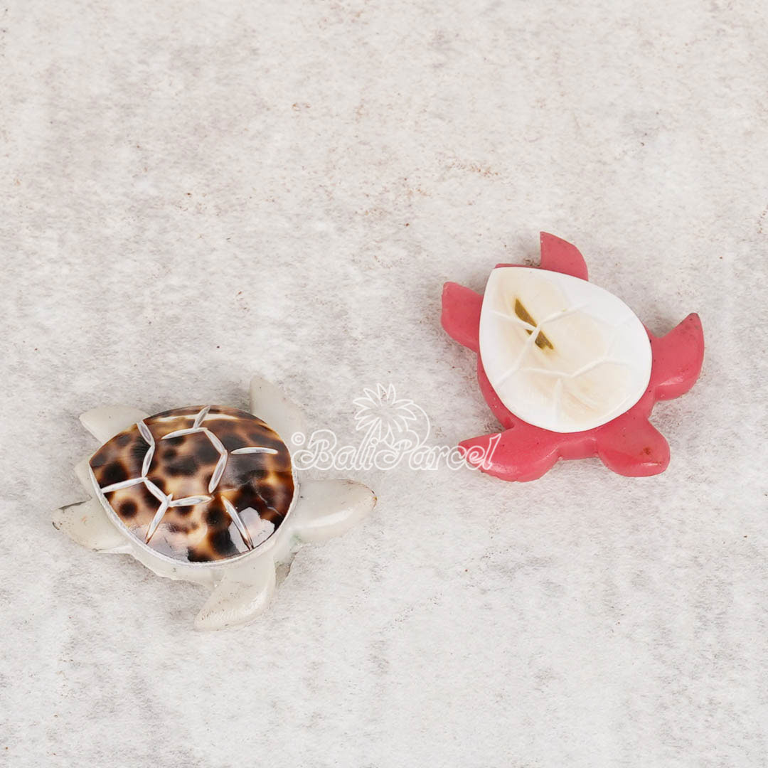 Assorted Turtle With Magnet, Handmade From Shell