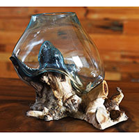Blown Glass Bowl On Driftwood Base