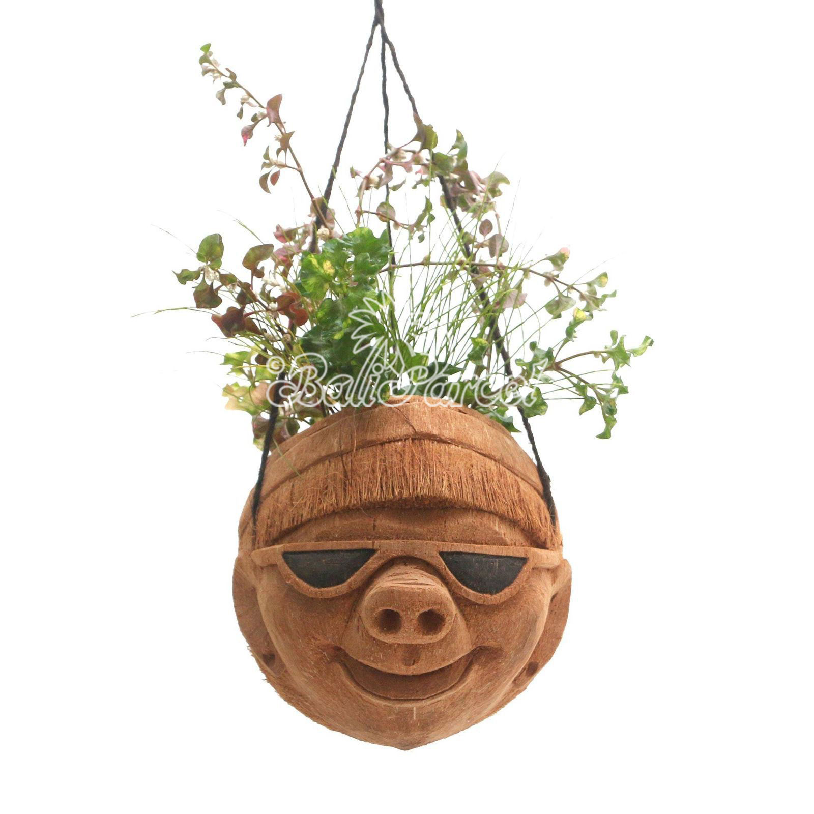 Hanging Pot, Handmade From Coconut Fiber