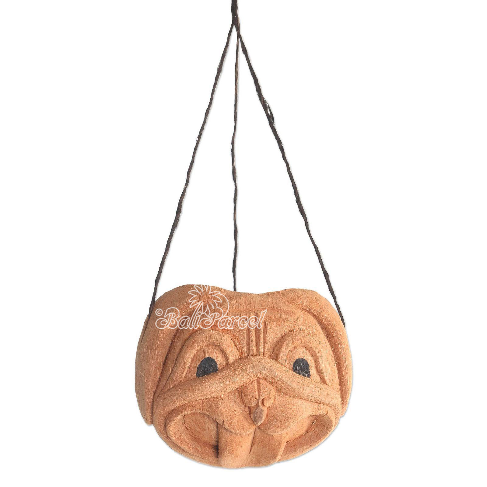 Hanging Pot, Handmade From Coconut Fiber