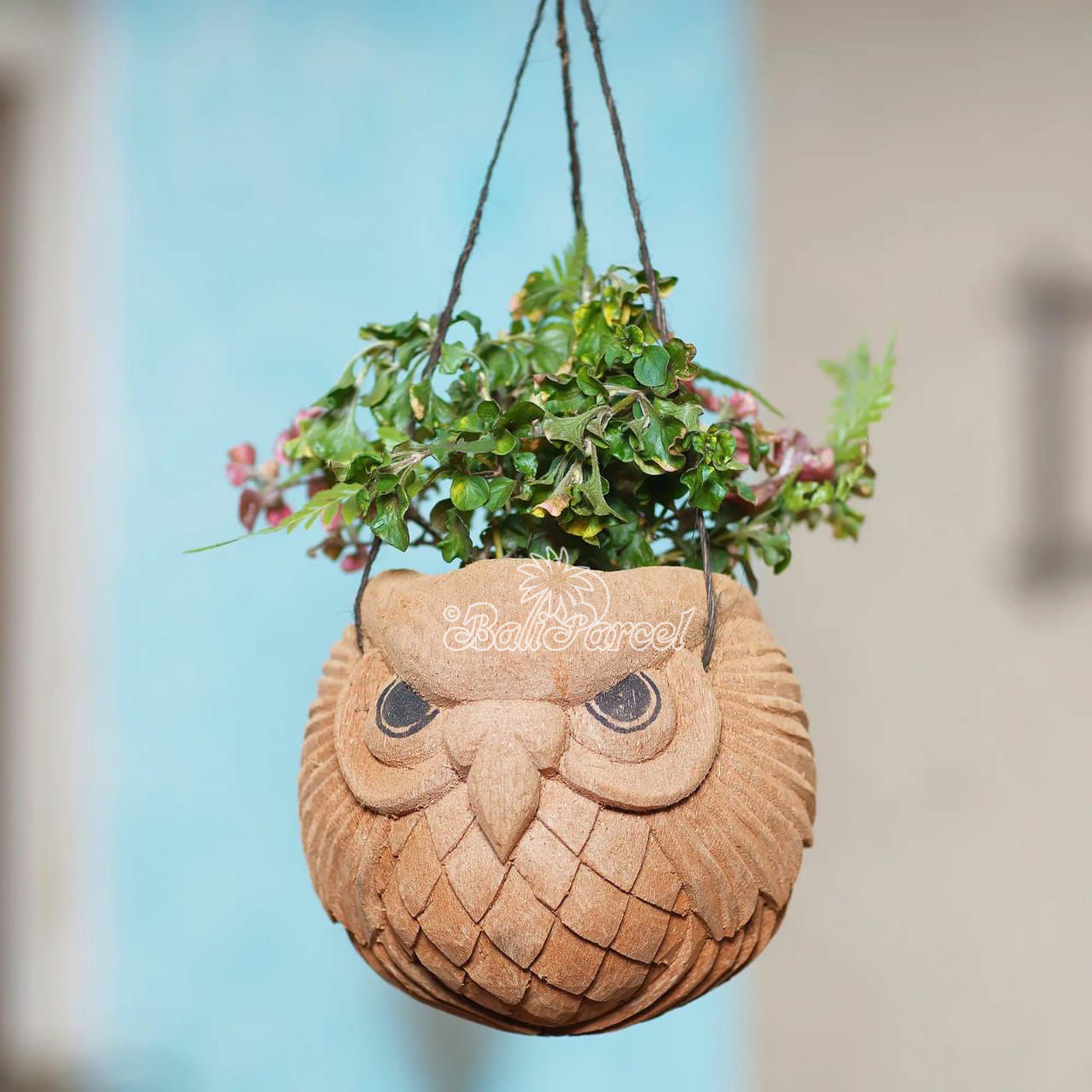Hanging Pot, Handmade From Coconut Fiber