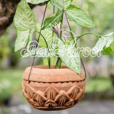 Hanging Pot, Handmade From Coconut Fiber