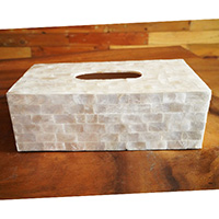 Tissue Holder, Handmade From Shell With Resin