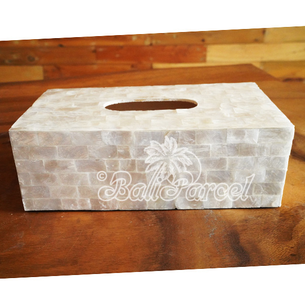 Tissue Holder, Handmade From Shell With Resin