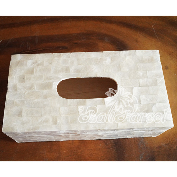Tissue Holder, Handmade From Shell With Resin