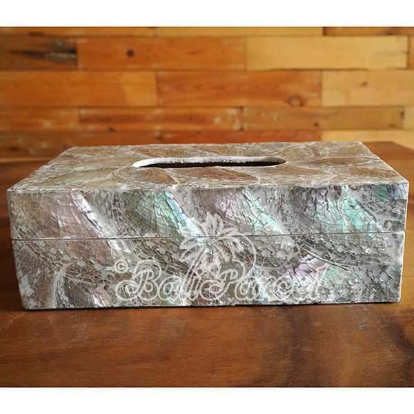 Tissue Holder, Handmade From Shell With Resin