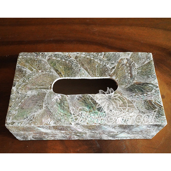 Tissue Holder, Handmade From Shell With Resin