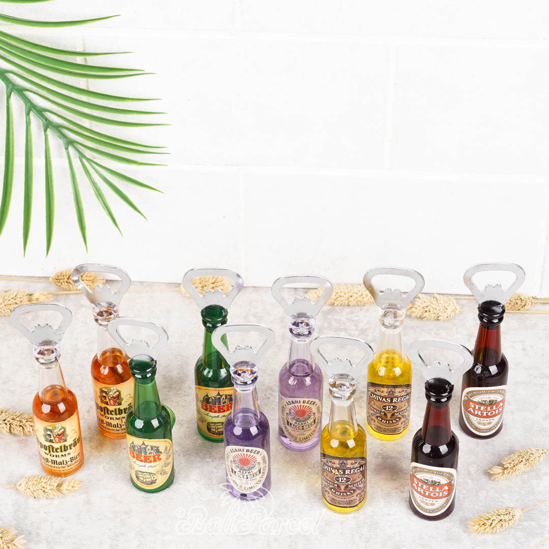 Assorted 10 Set Bottle Opener With Magnet On Back, Handmade From Glass