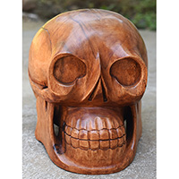 Handcarved Wooden Skull Head Made From Suar Wood