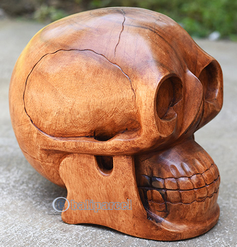 Handcarved Wooden Skull Head Made From Suar Wood