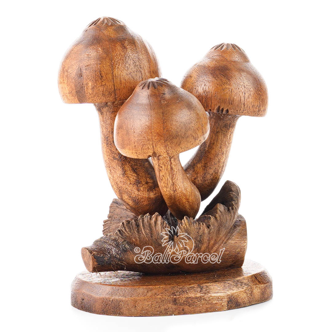 Wooden Mushrooms With Parasite Wood