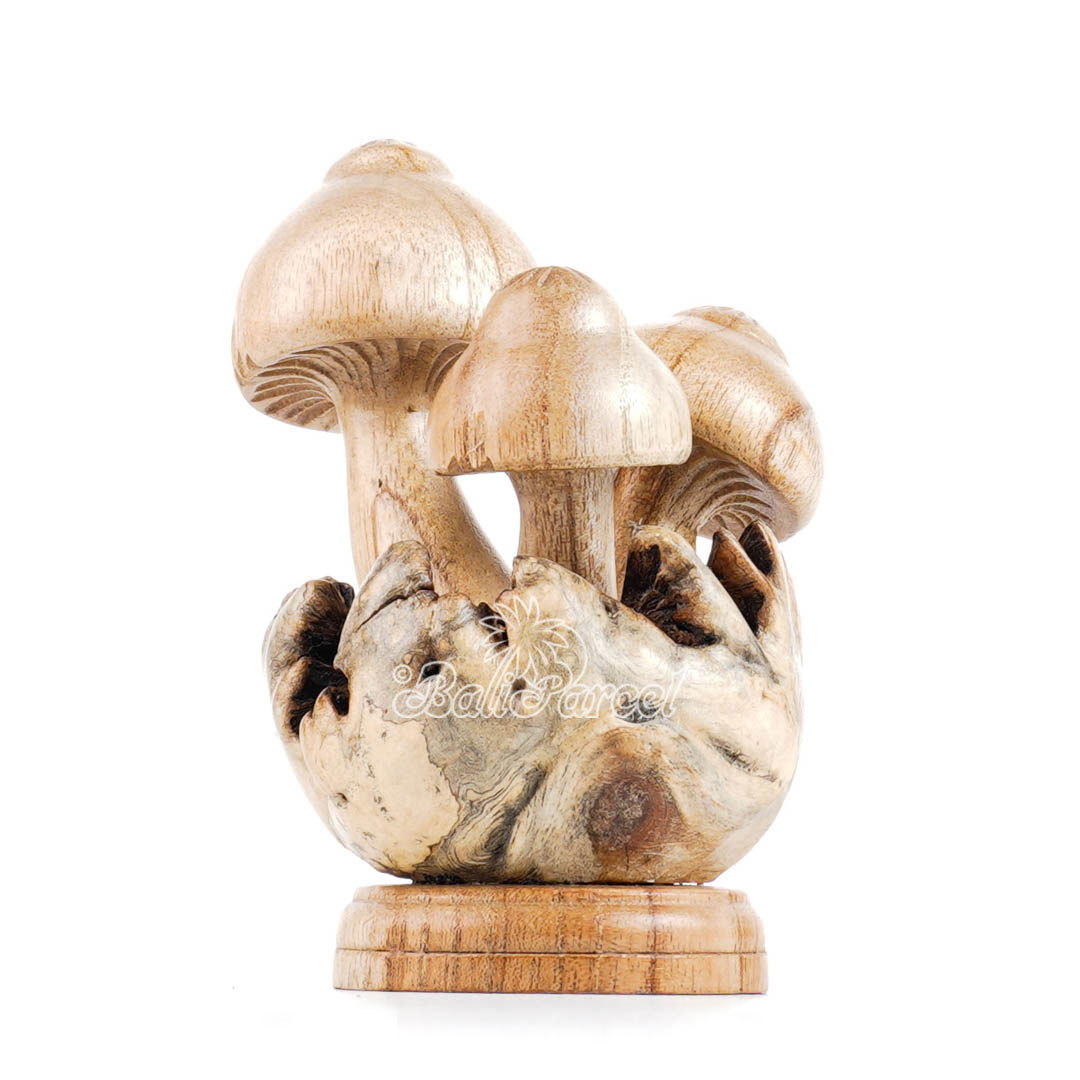 Wooden Mushrooms With Parasite Wood