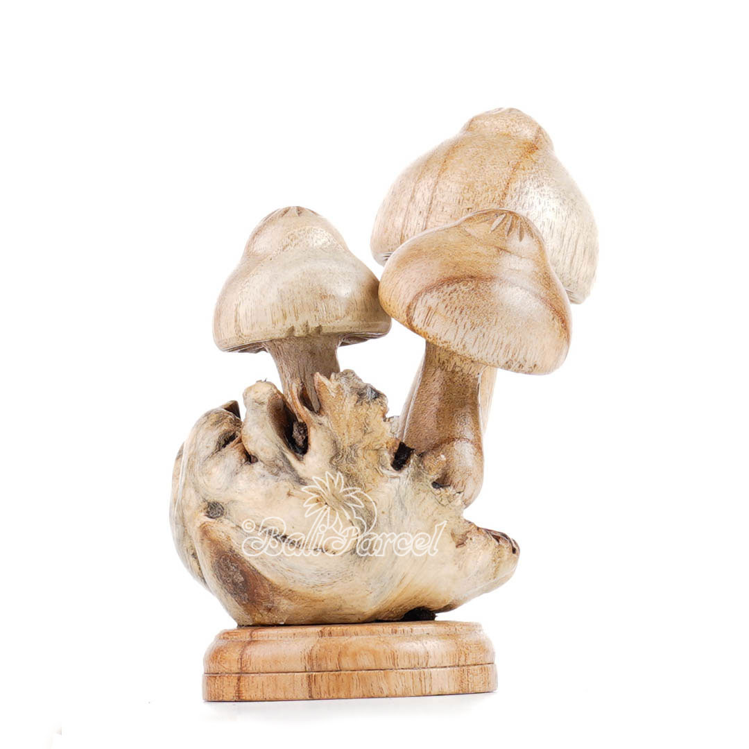 Wooden Mushrooms With Parasite Wood