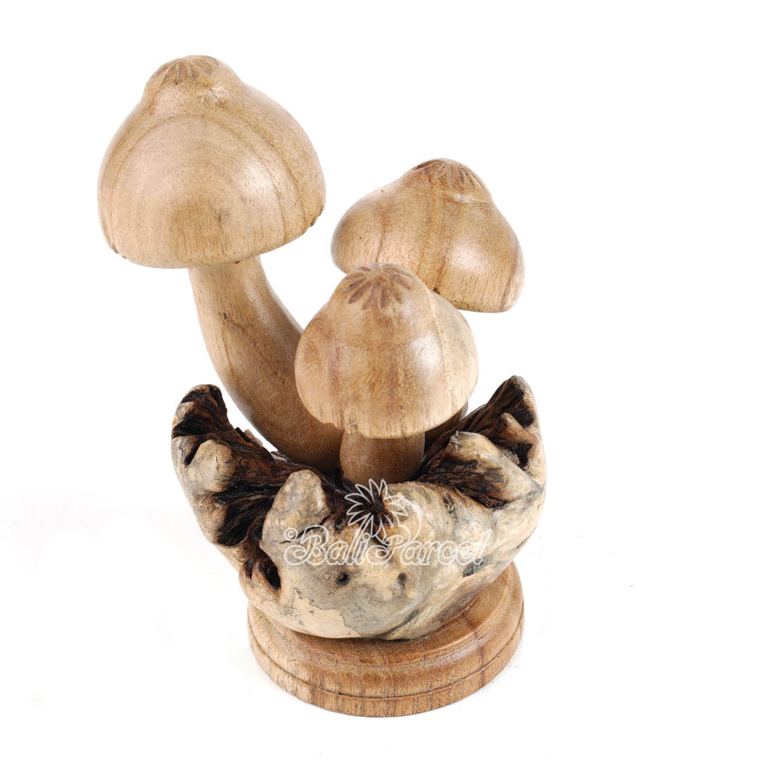 Wooden Mushrooms With Parasite Wood