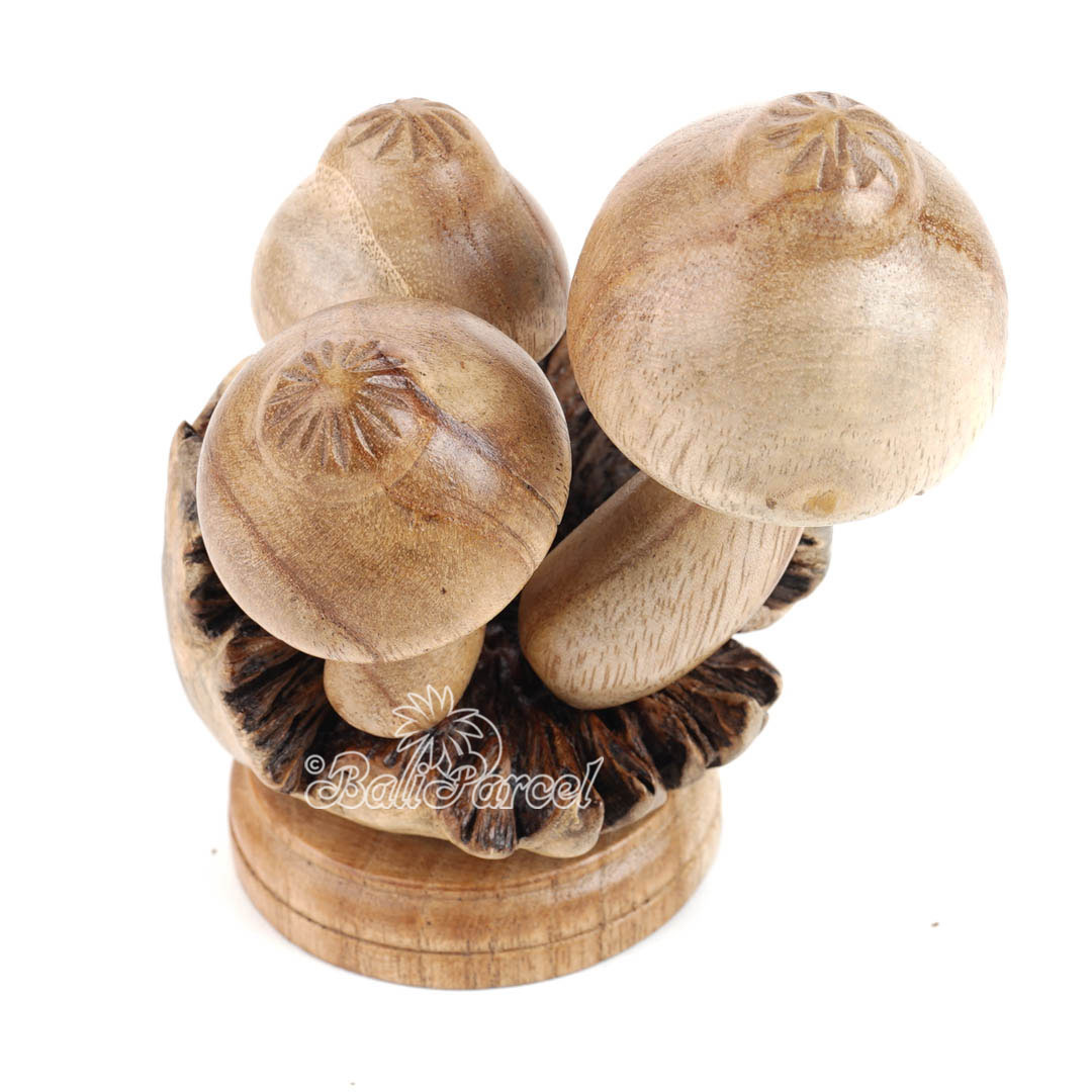 Wooden Mushrooms With Parasite Wood