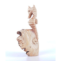 Wooden Sea House With Parasite Wood