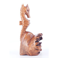 Wooden Sea House With Parasite Wood