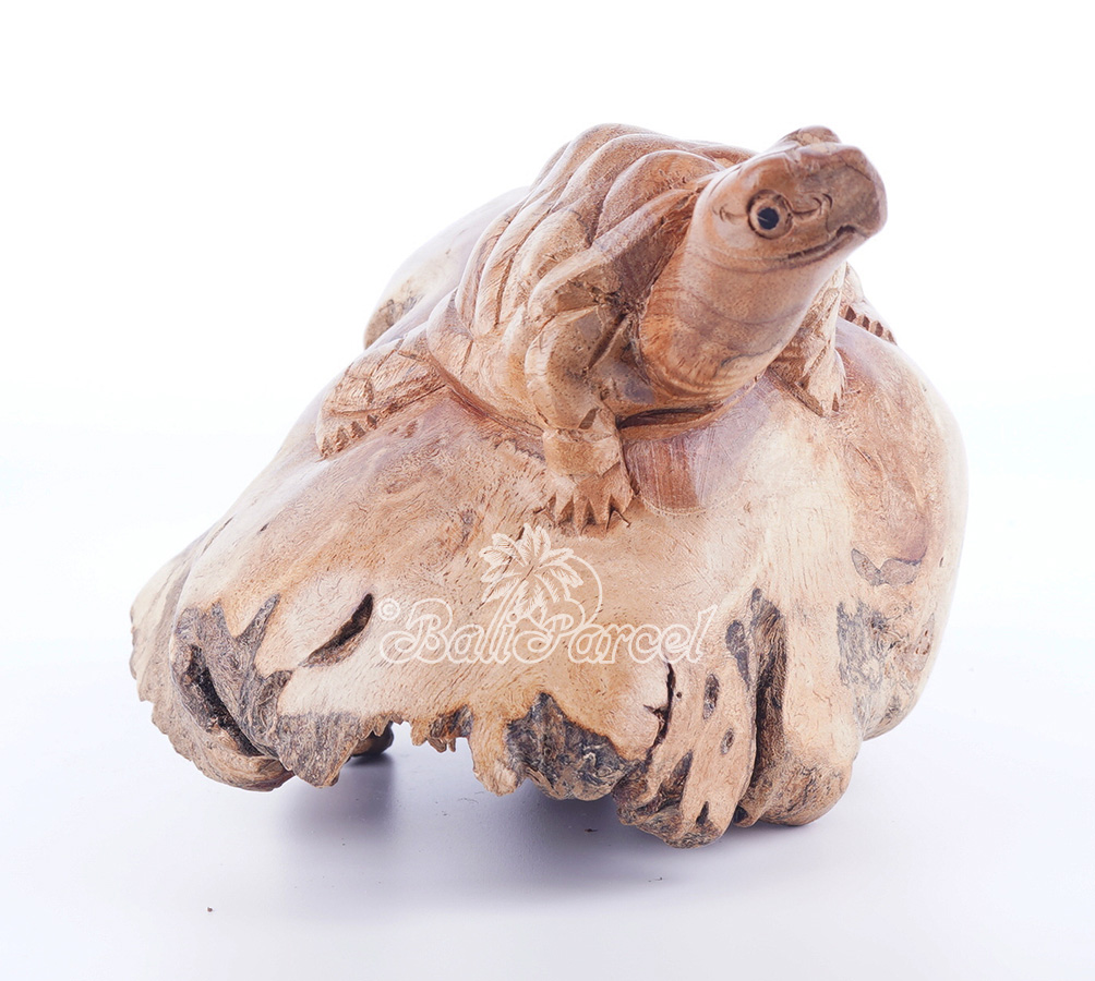 Wooden Tortoise With Parasite Wood