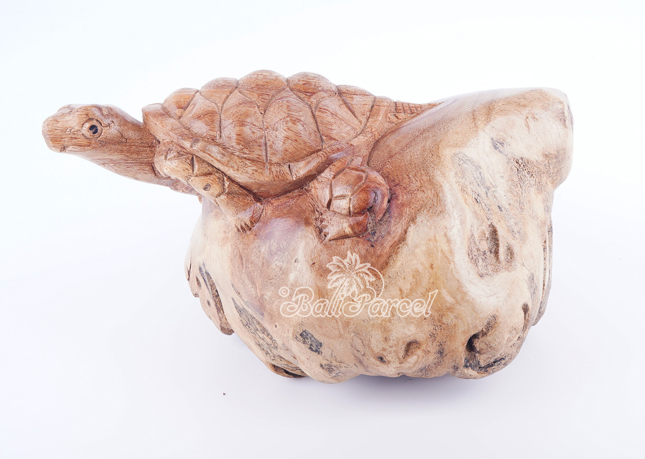 Wooden Tortoise With Parasite Wood