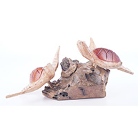 Wooden 2 Turtle With Parasite Wood
