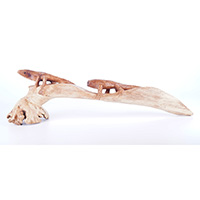Wooden 2 Komodo With Parasite Wood