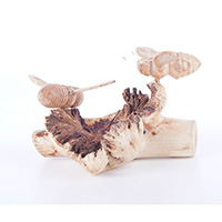 Wooden 2 Butterfly With Parasite Wood