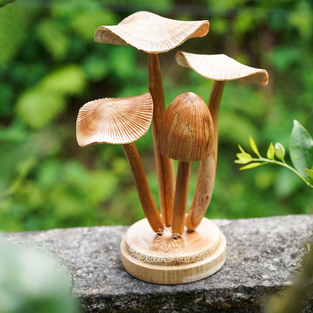 Wooden Mushrooms With Parasite Wood