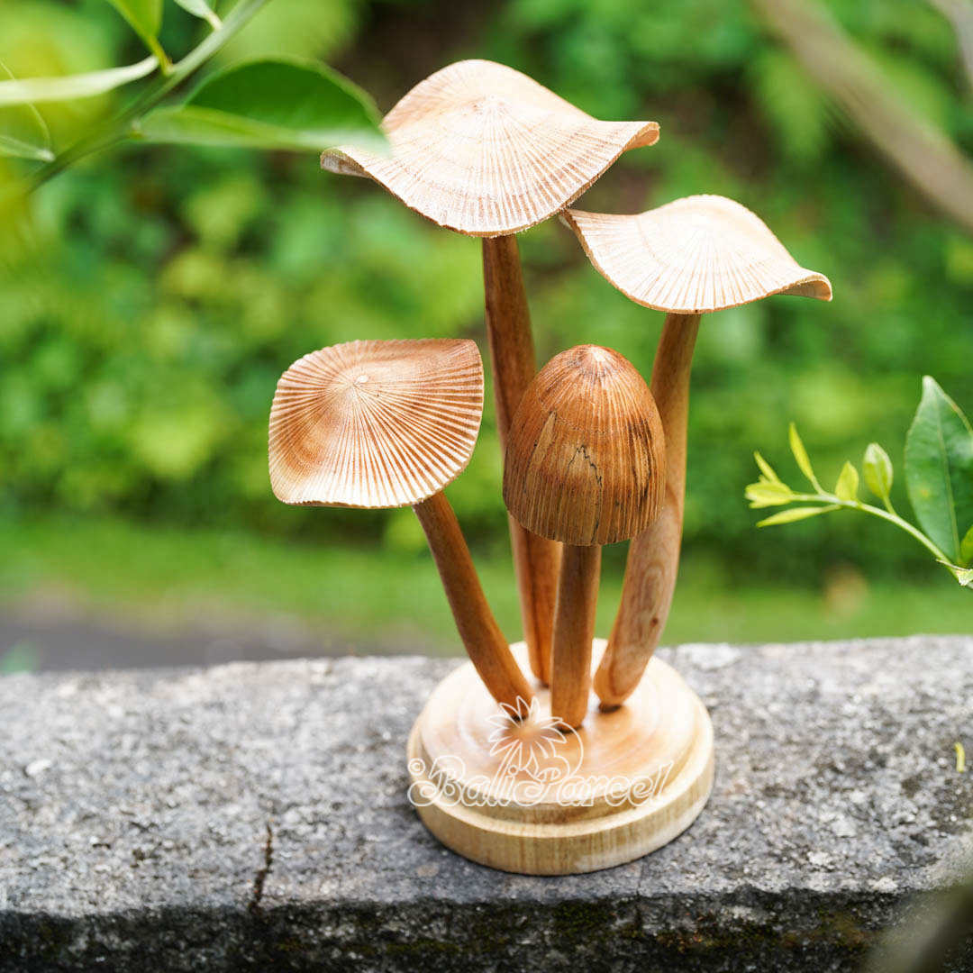 Wooden Mushrooms With Parasite Wood