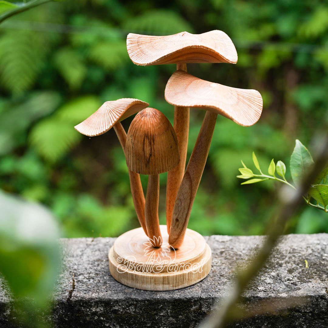 Wooden Mushrooms With Parasite Wood