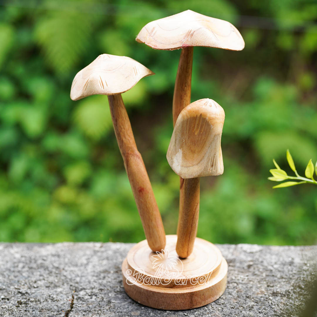 Wooden Mushrooms With Parasite Wood